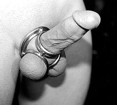 Quad Rings Cock Cage Cockring in Stainless Steel