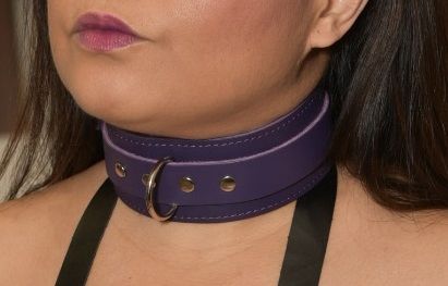 Leather D-Ring Collar Restraint (2" Wide)
