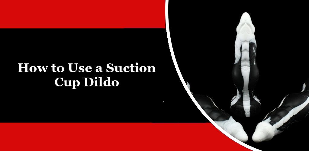 How to Use a Suction Cup Dildo