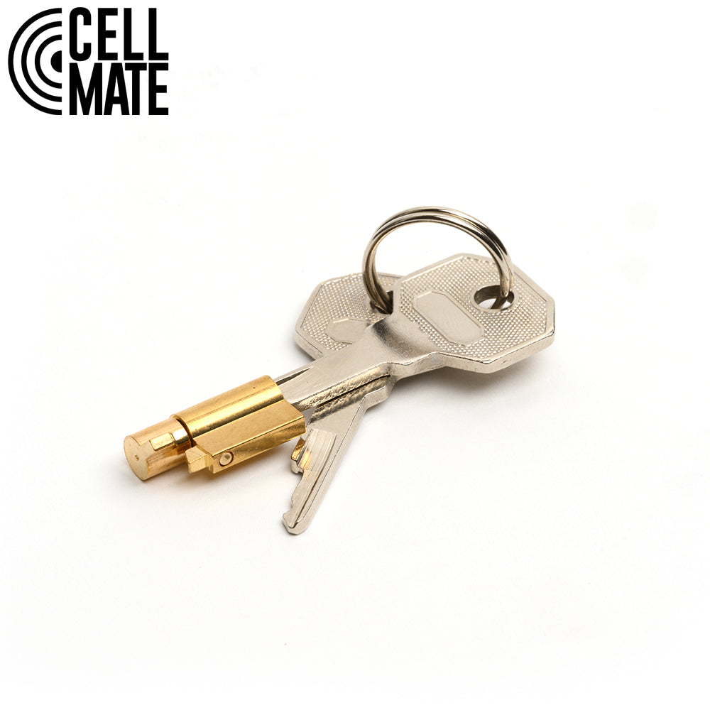 Pussyfyer Chastity Cage by CellMate