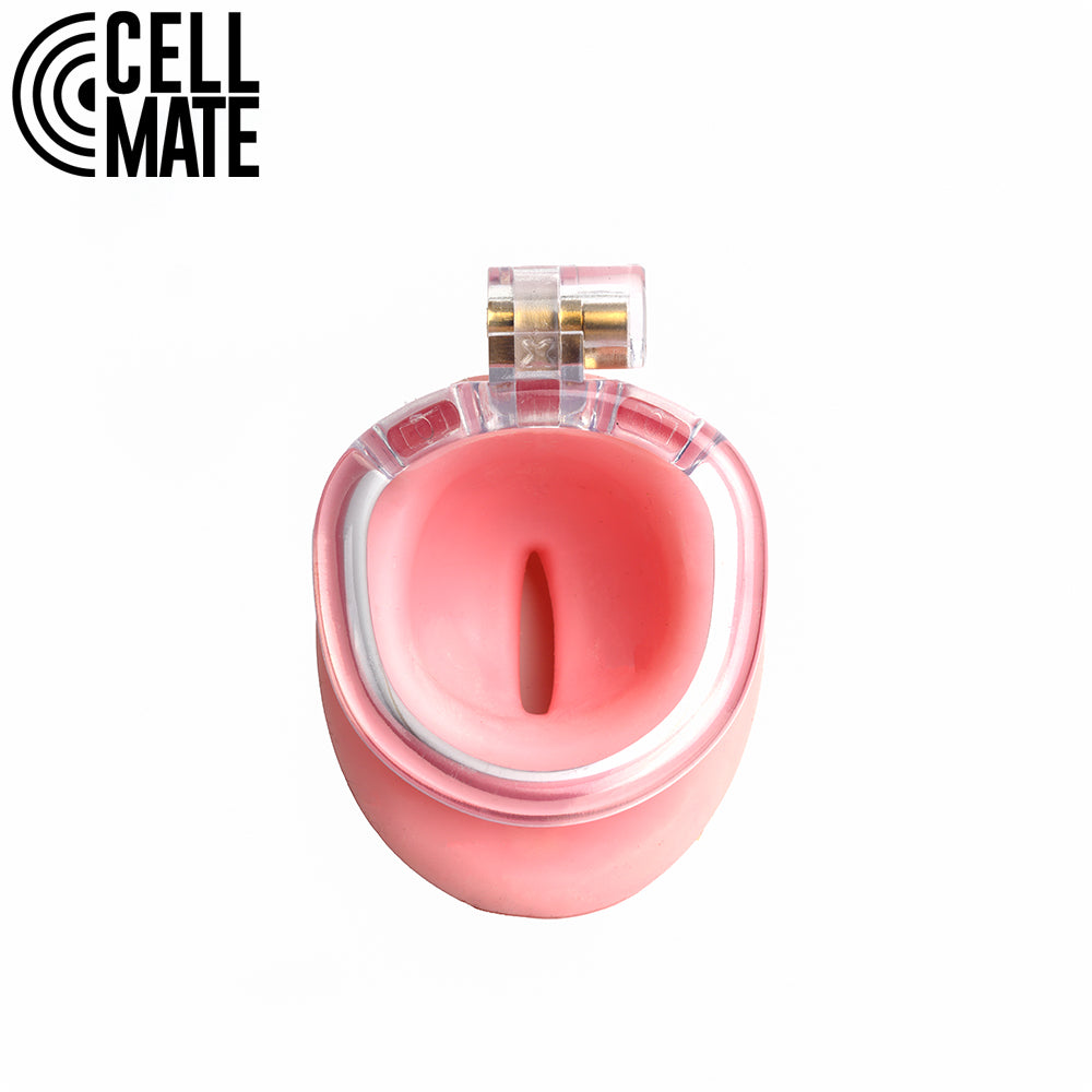 Pussyfyer Chastity Cage by CellMate