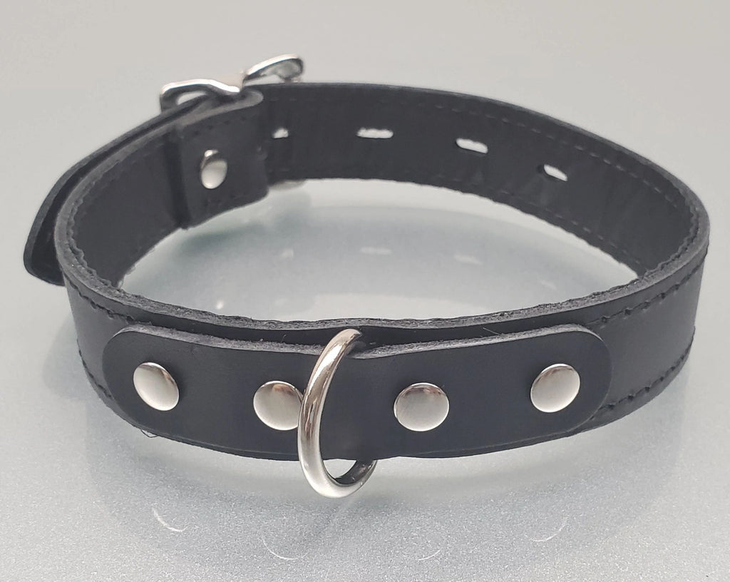 Leather D-Ring Day Collar Restraint (1
