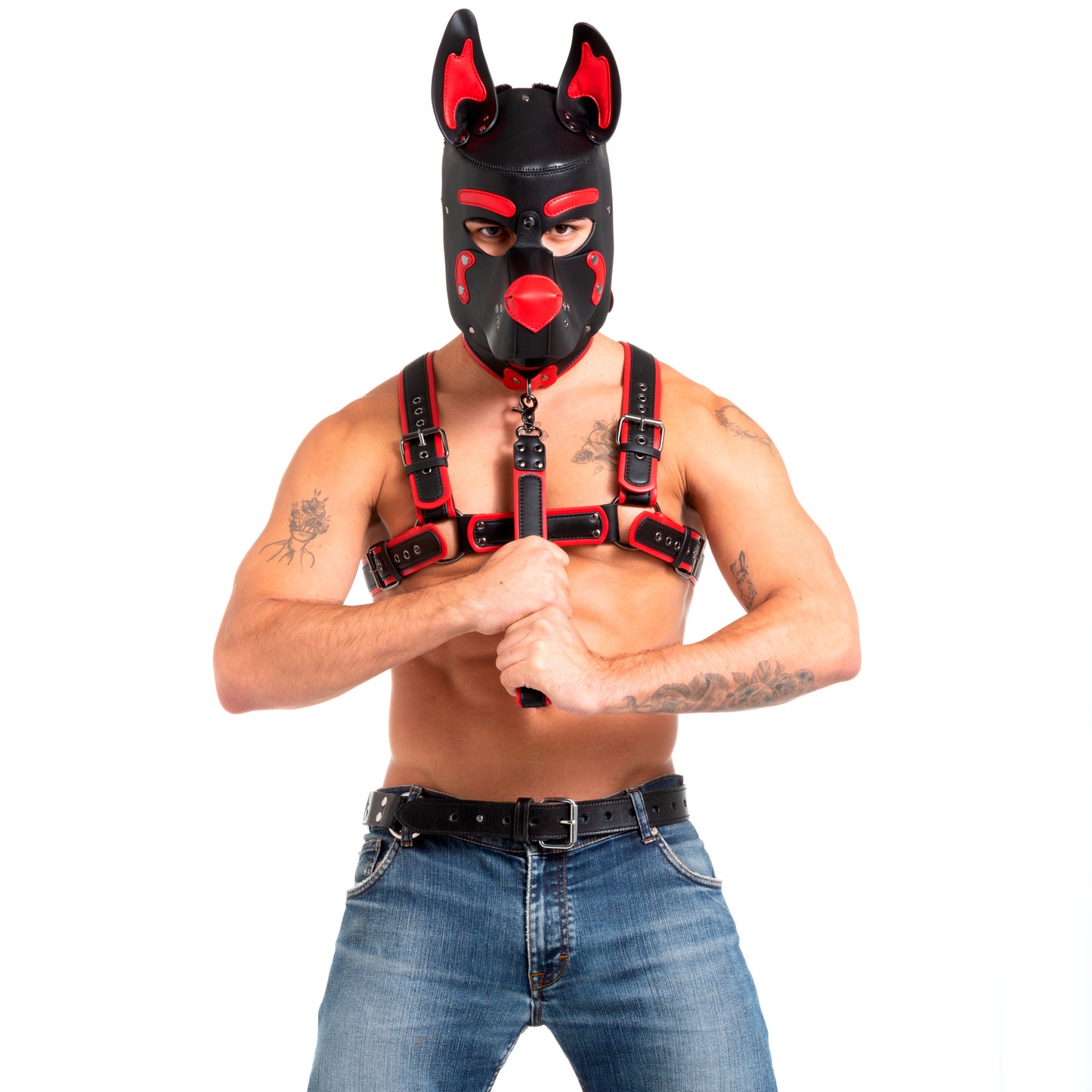 Pup Harness Red