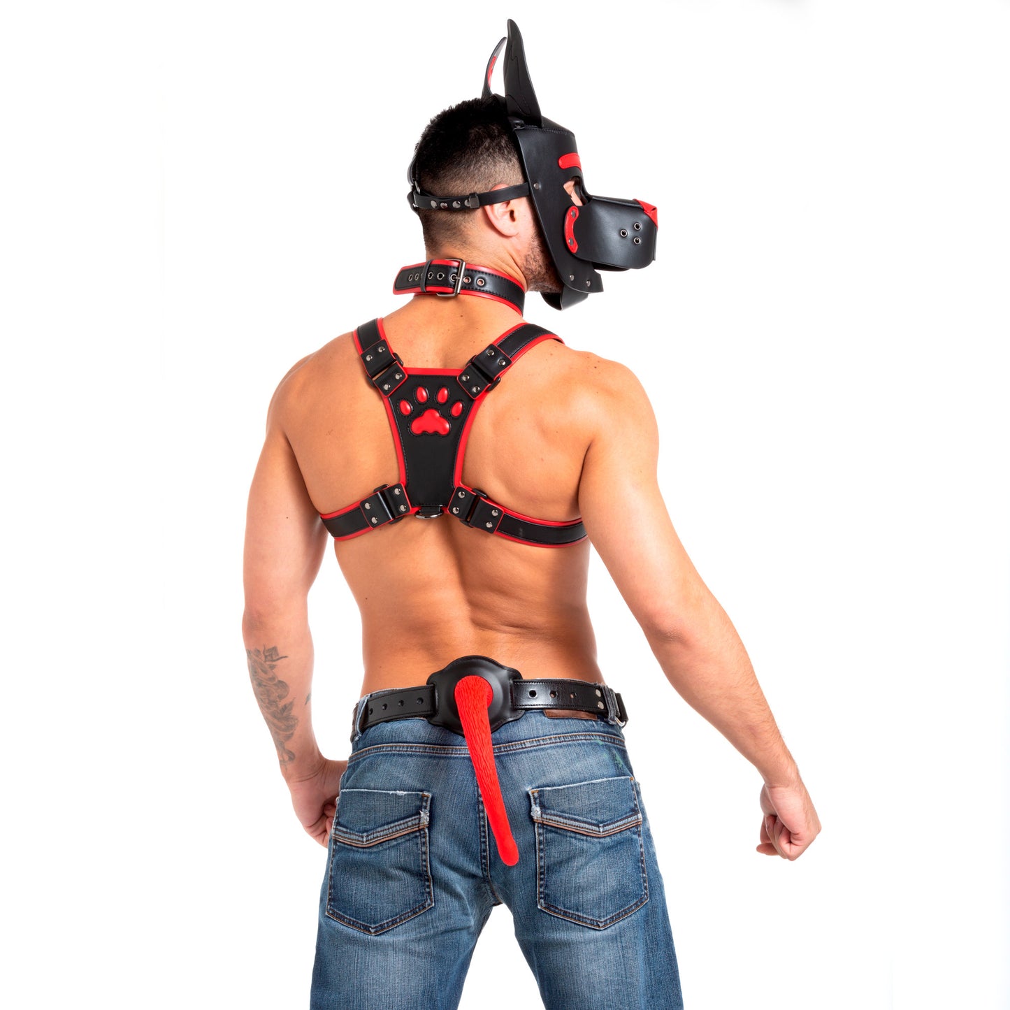 Pup Harness Red