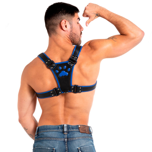 Pup Harness Blue