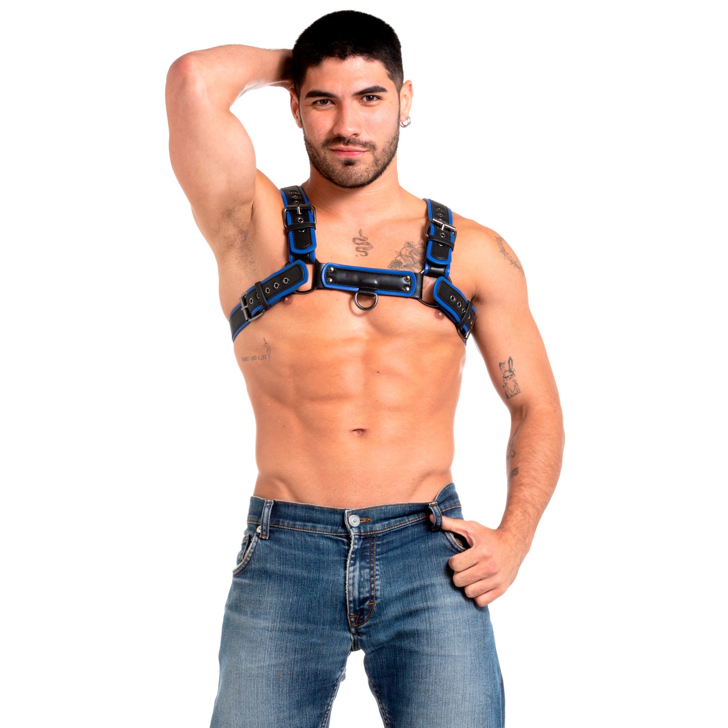Pup Harness Blue
