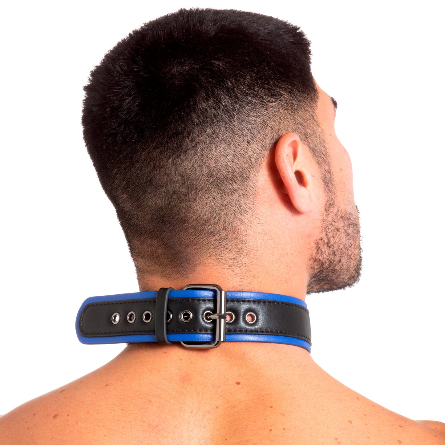 Pup Collar