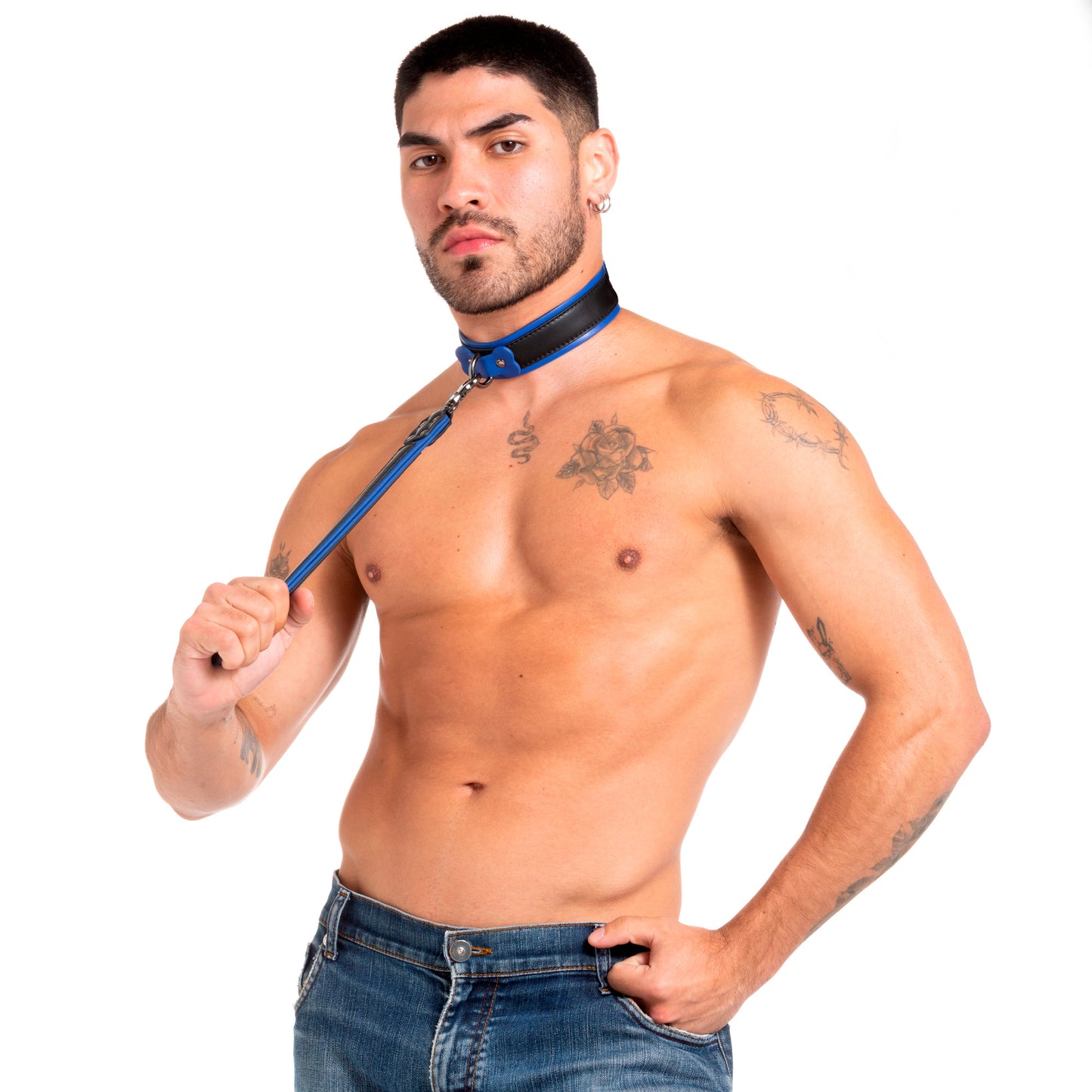 Pup Collar