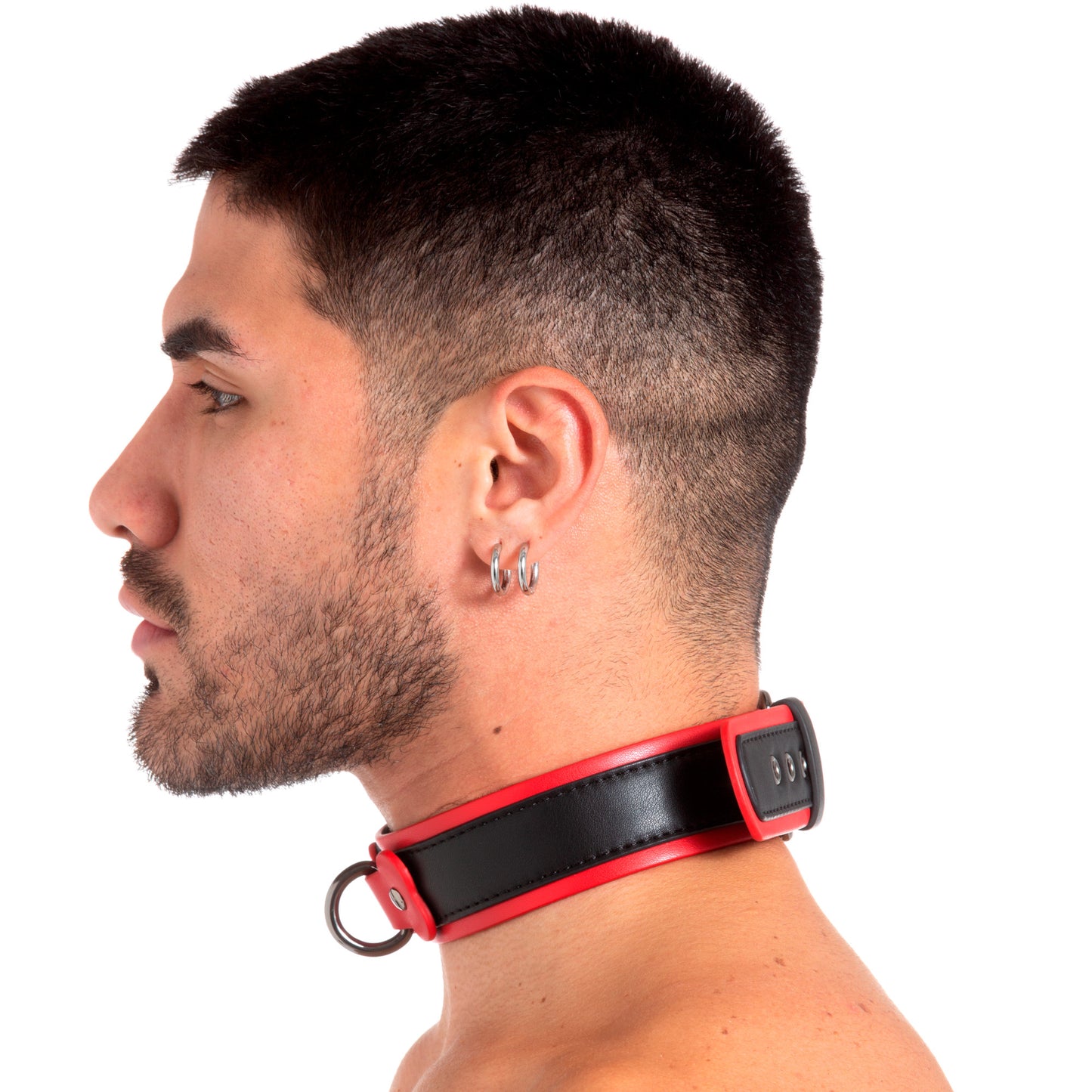 Pup Collar