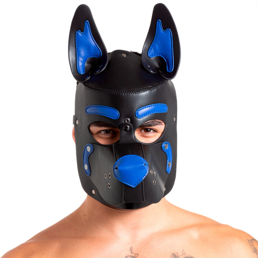 Pup Hood Blue