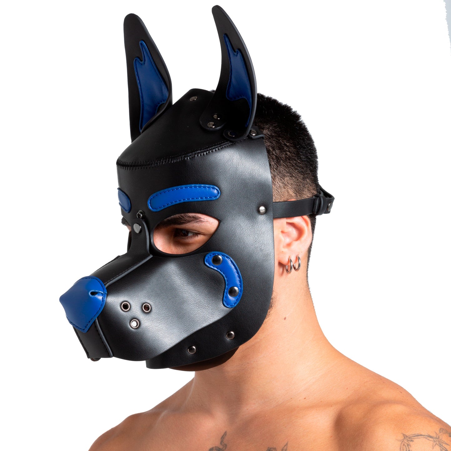 Pup Hood Blue