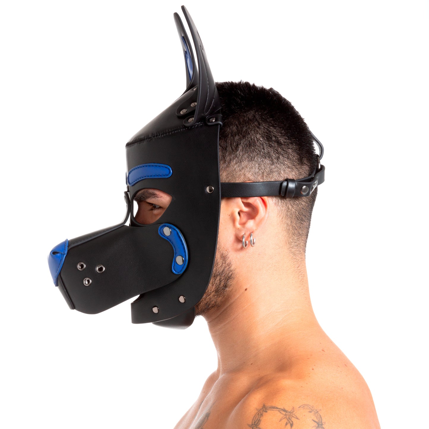 Pup Hood Blue
