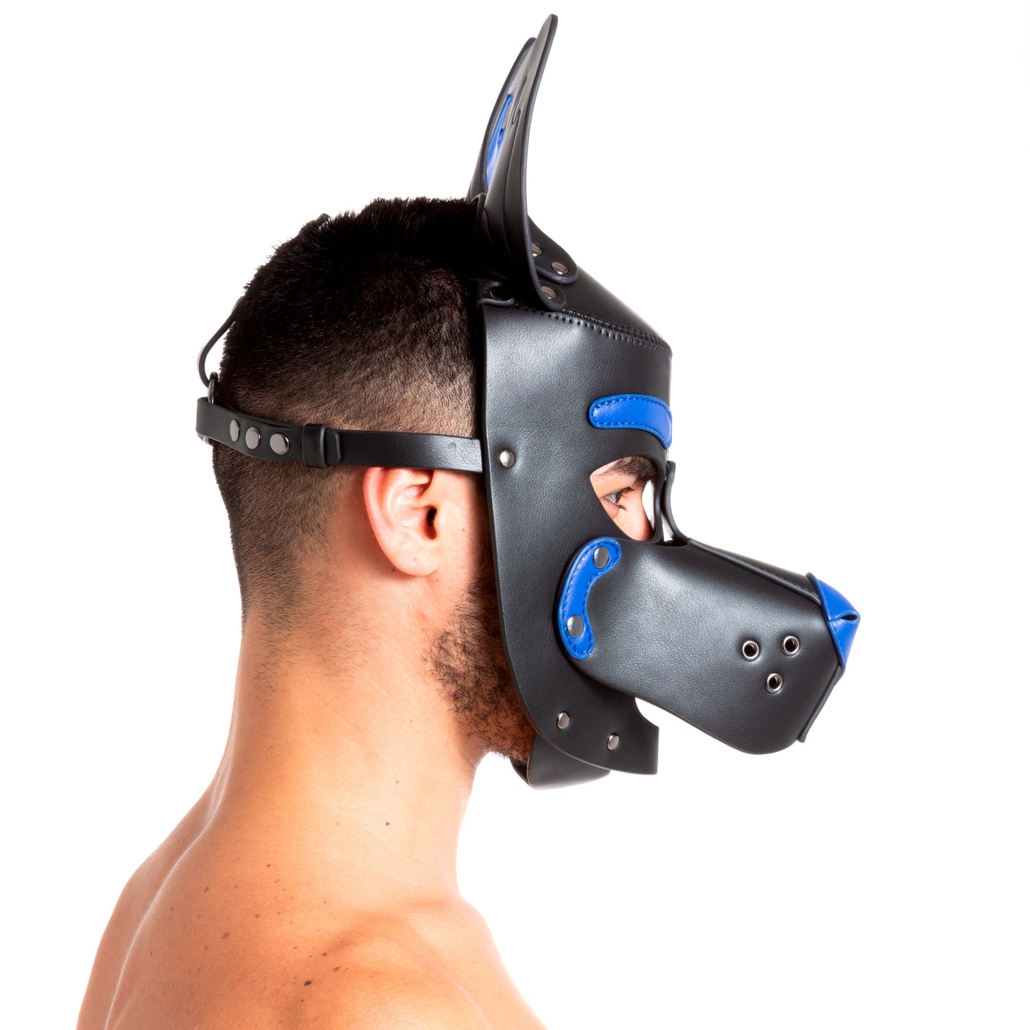Pup Hood Blue