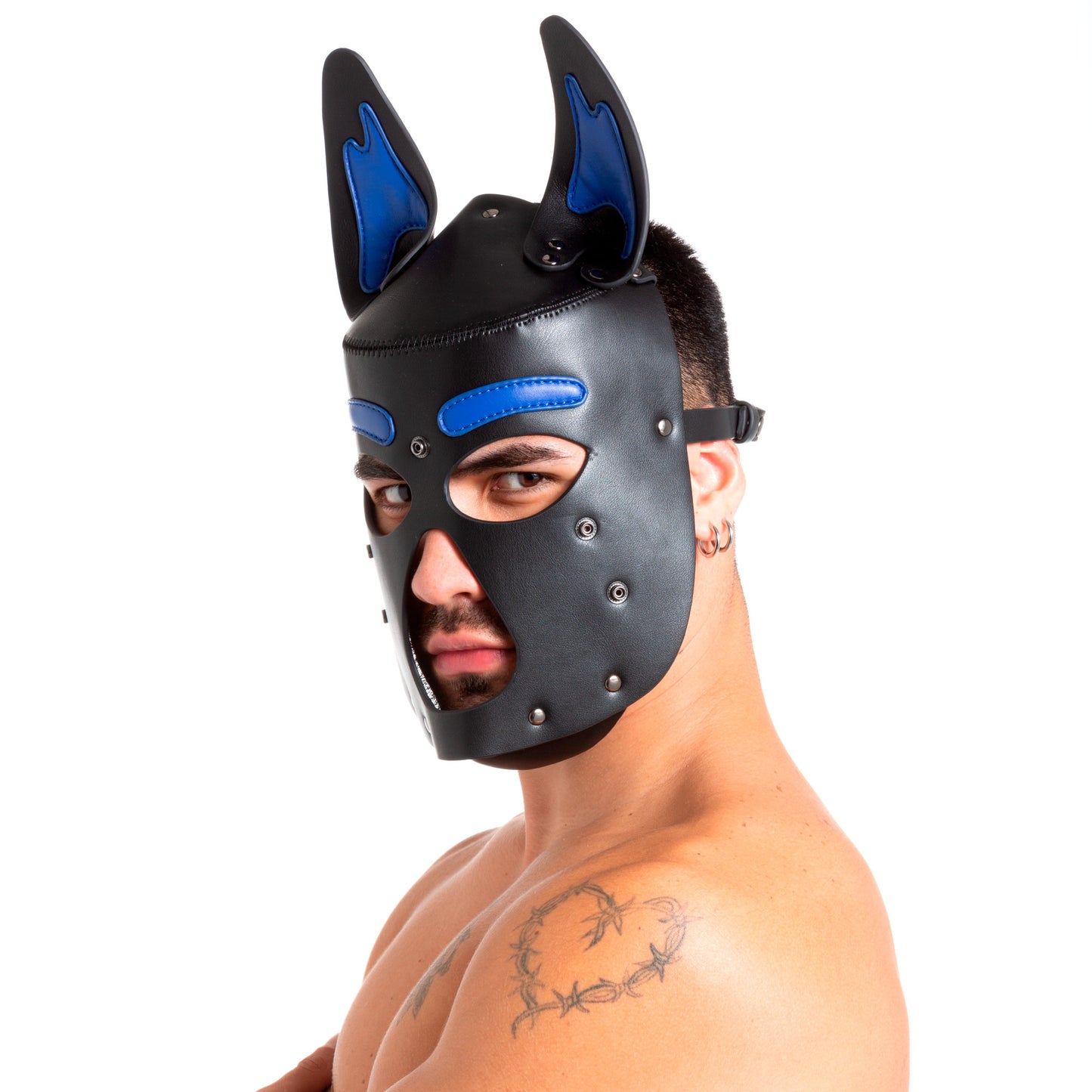 Pup Hood Blue