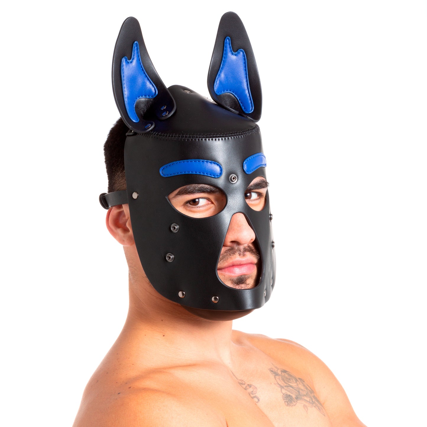 Pup Hood Blue