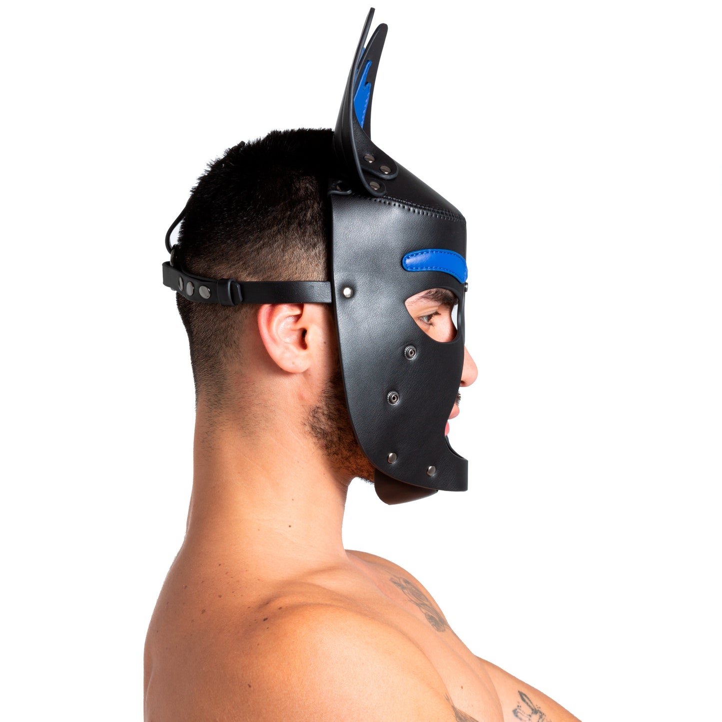 Pup Hood Blue