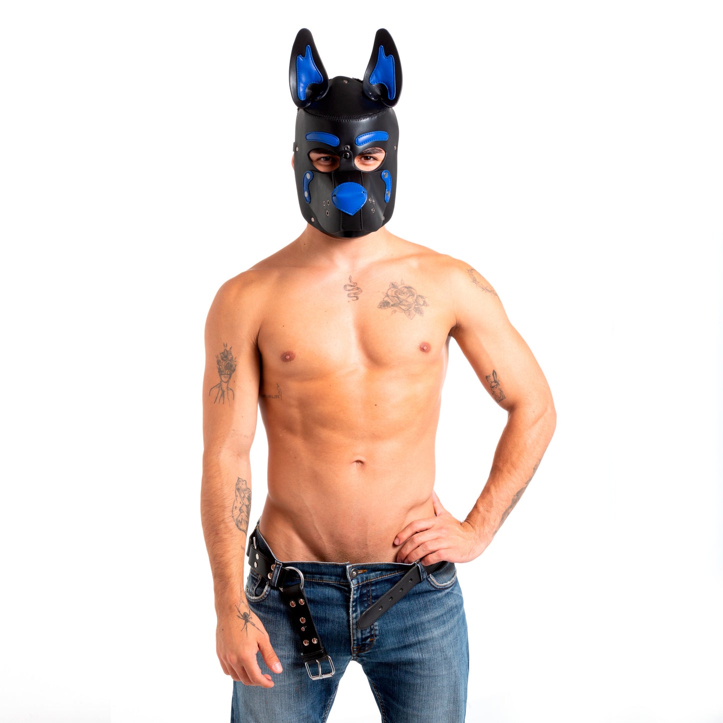 Pup Hood Blue