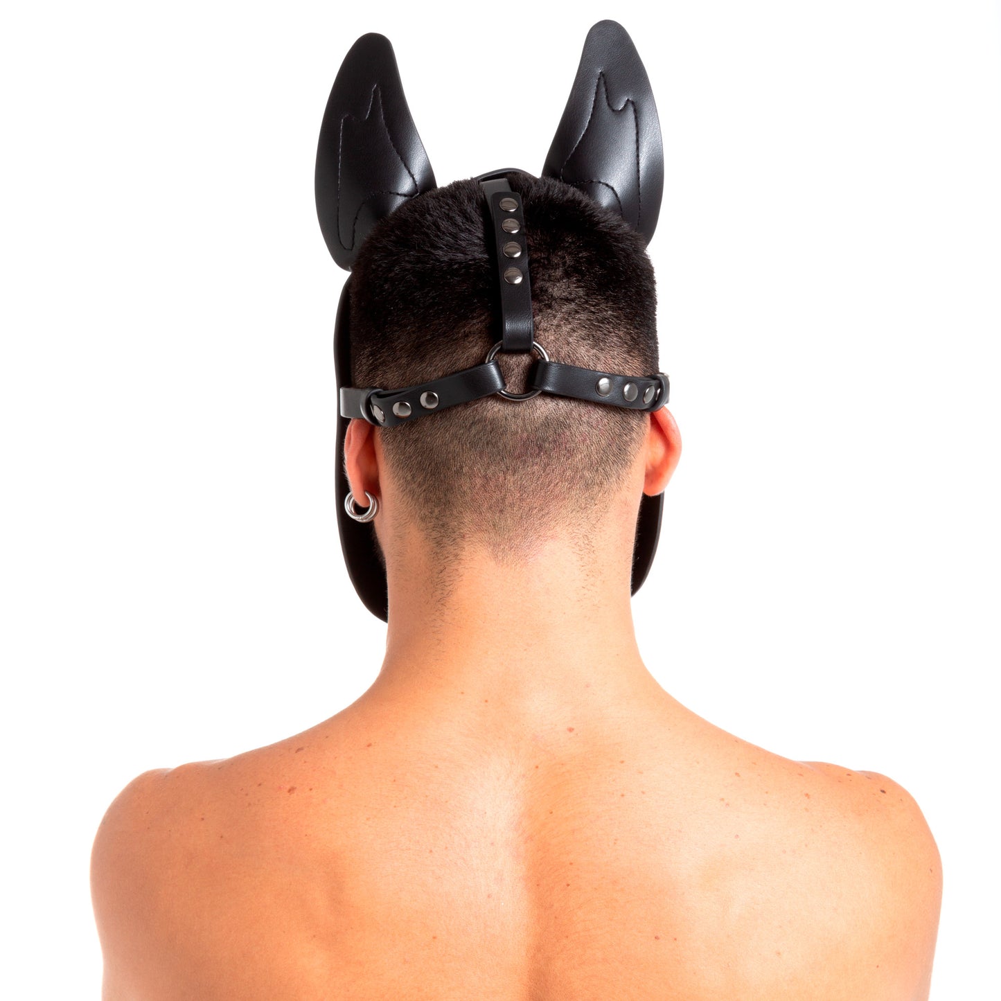 Pup Hood Blue