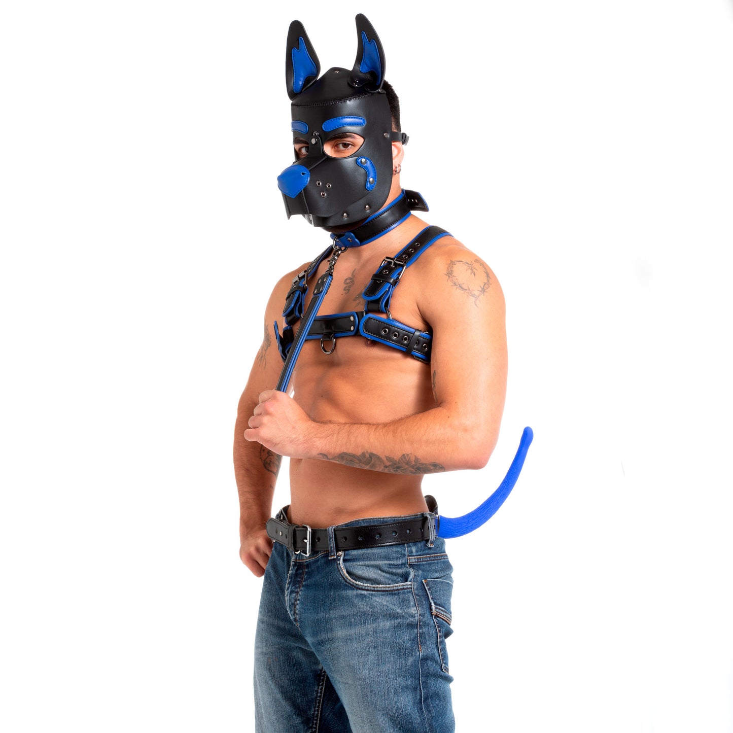 Pup Hood Blue