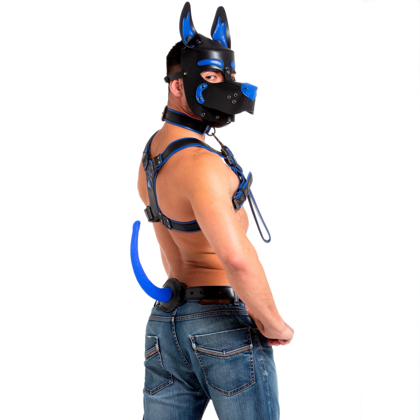 Pup Hood Blue