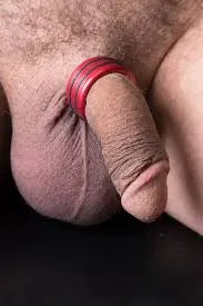 Double Accent Band Style Anodized Glans Ring in Aluminum