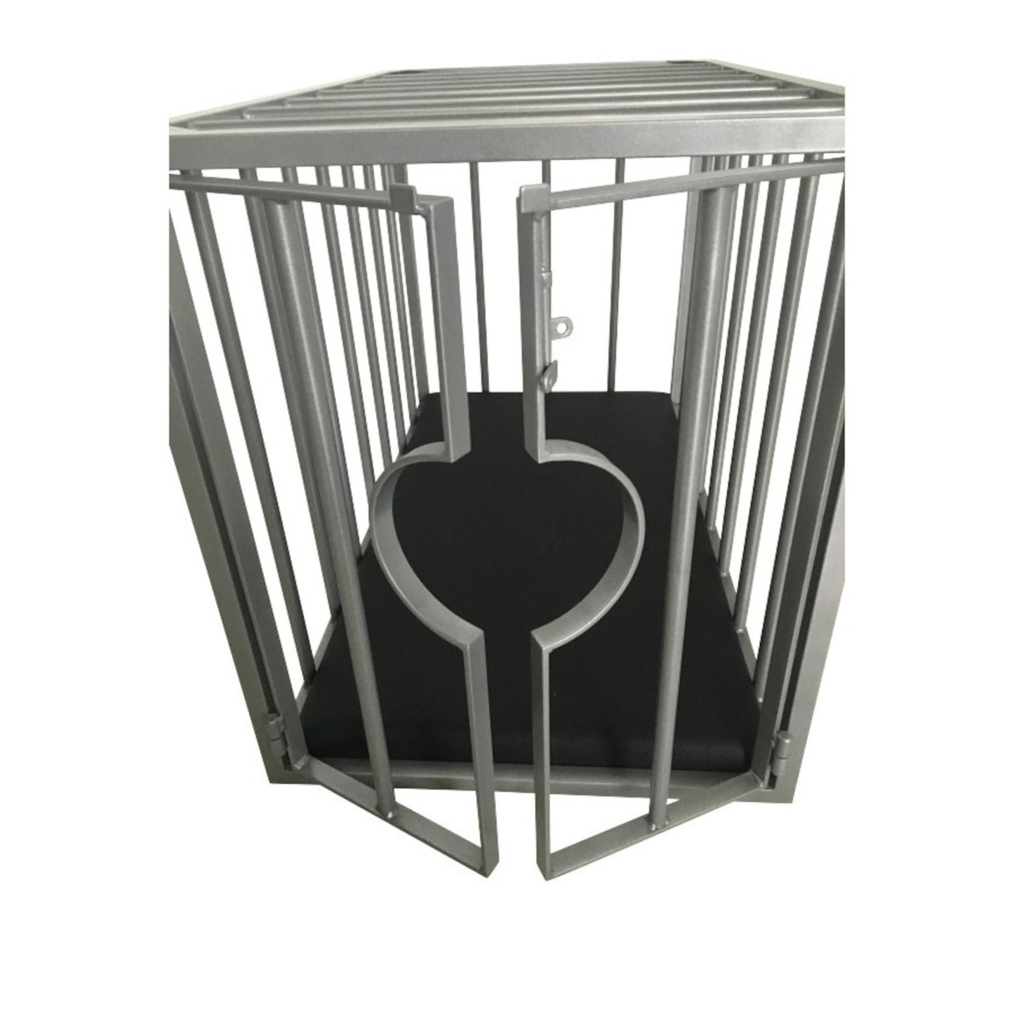 Steel Puppy Cage with Bottom Pad