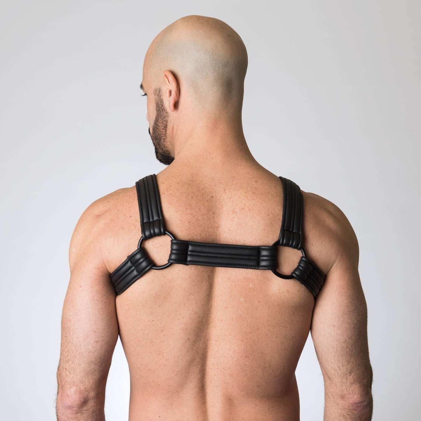 Neoprene Bulldog Harness