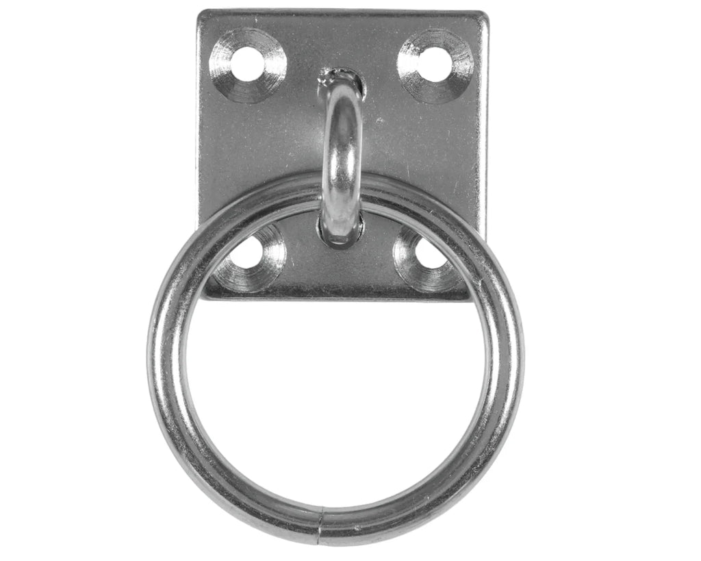 Bondage Wall Plate Mount with Attachment Ring BDSM Dungeon