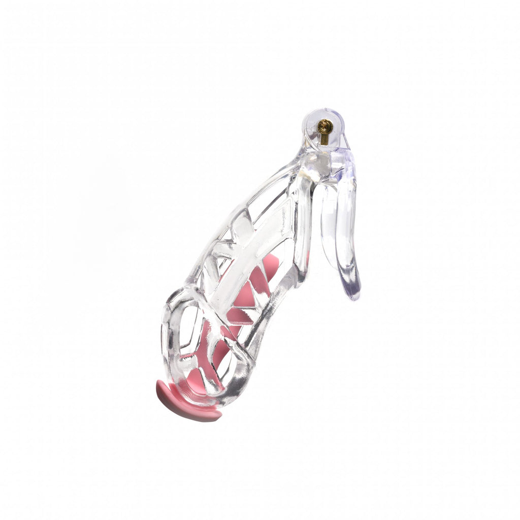 The Guardian (Clear) Chastity Cage by CellMate