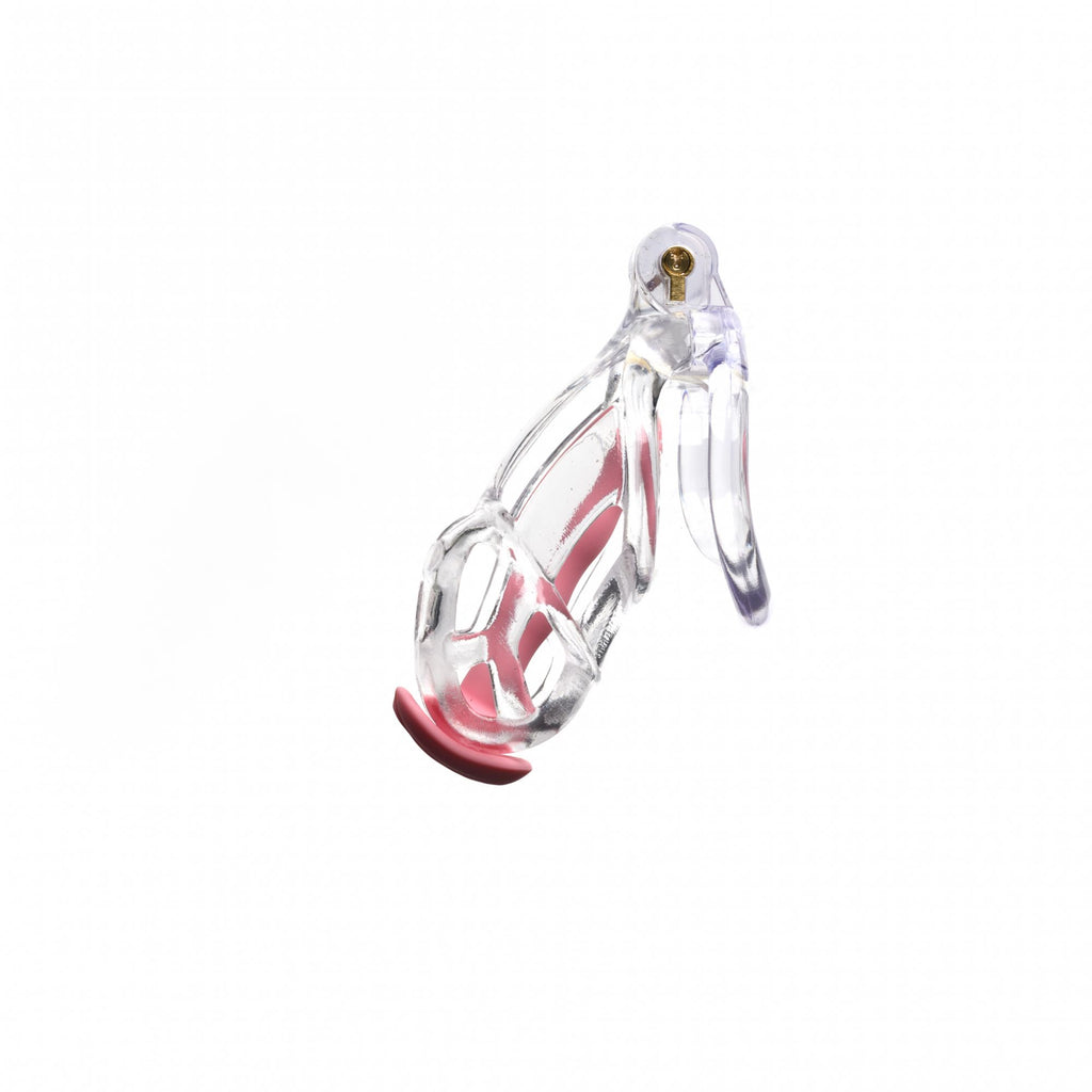 The Guardian (Clear) Chastity Cage by CellMate