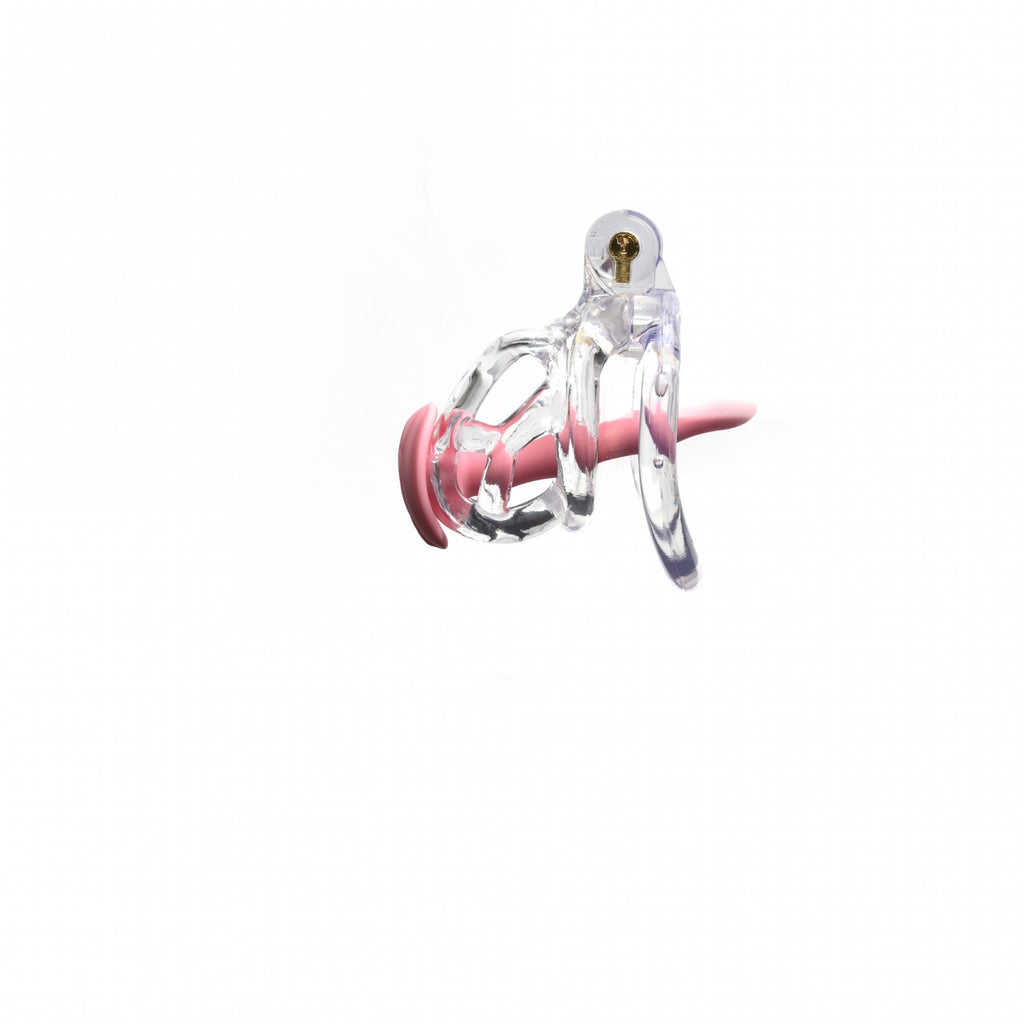 The Guardian (Clear) Chastity Cage by CellMate