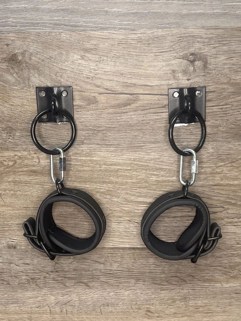 Bondage Wall Plate Mount with Attachment Ring BDSM Dungeon