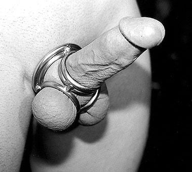 HD Heavy Duty Quad Rings Cock Cage Cockring Stainless Steel