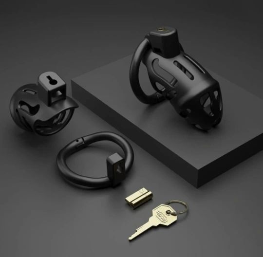 The Dominion Chastity Cock Cage